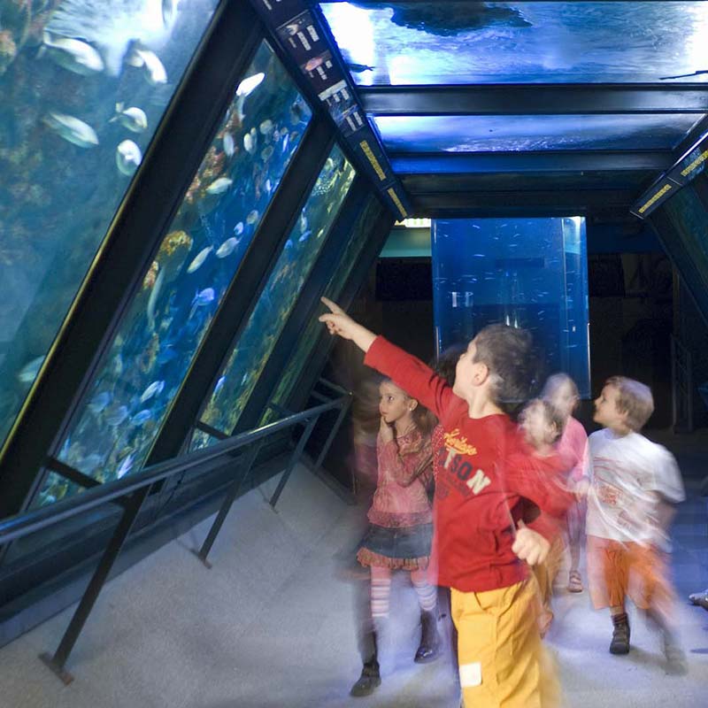 Acquario Le Navi di Cattolica